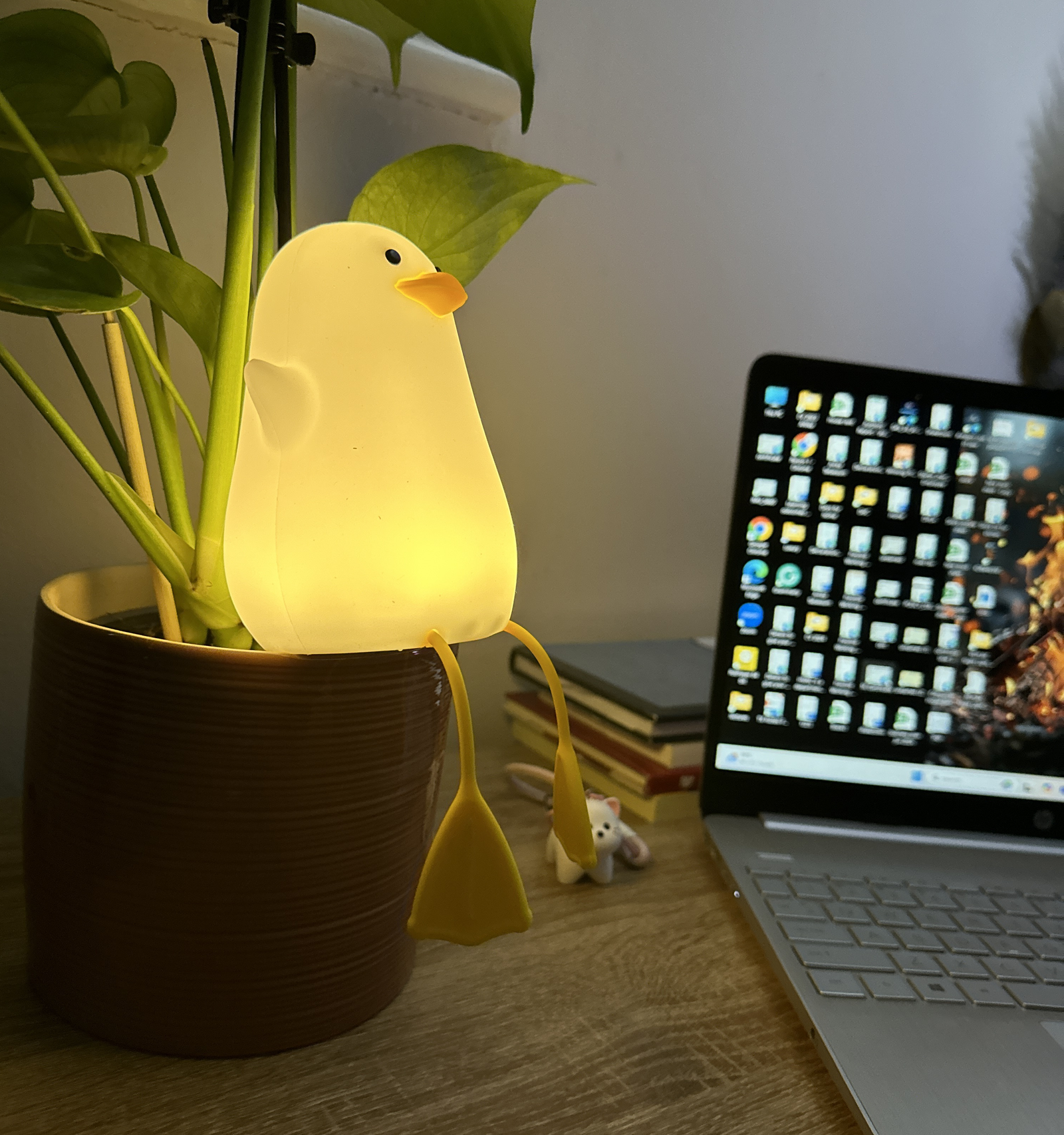 Duck pat lamp